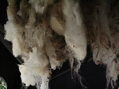 Portscatho_Fleece Drying